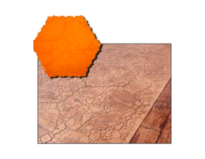 Molde Pedra Jardim Atlanta